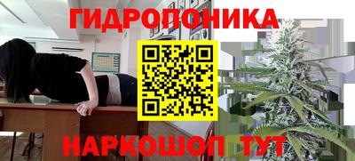 крисы Изобильный